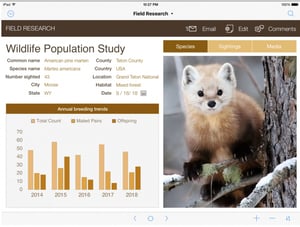 Perché usare FileMaker?